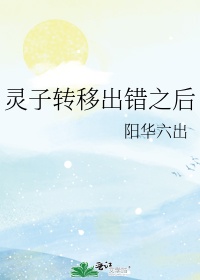 灵子转移出错之后免费