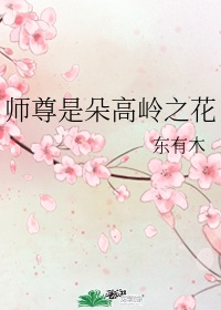 师尊多高