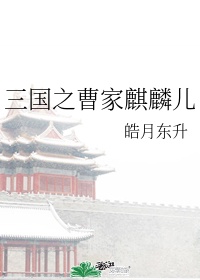 三国之曹家逆子小说TXT