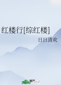 红楼华彩无防盗