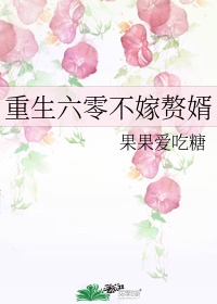 重生六零离婚记txt