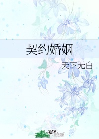 契约婚姻结束后我走了小说完整版