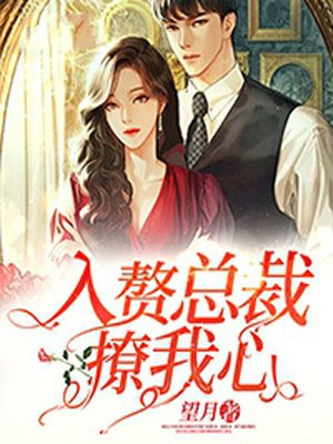 总裁女婿免费阅读