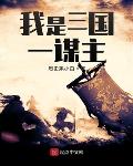 三国谋圣之后