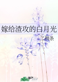 嫁给渣攻白月光后