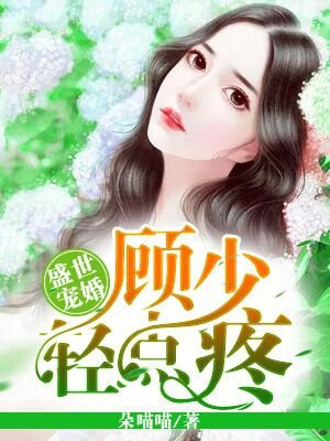 盛世宠婚顾少别来无恙小说