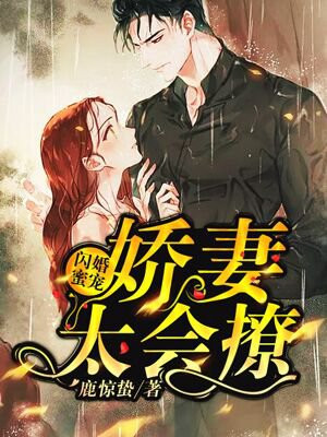 闪婚蜜宠:黎少