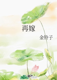 再嫁鹊枝靡芜小说免费阅读