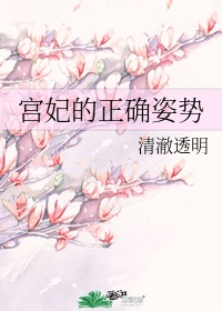 向妃是什么位份