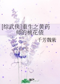 重生之黄药师的桃花债