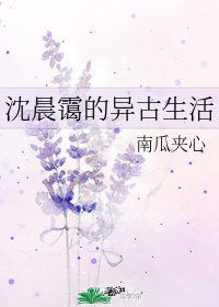 沈晨的拼音是什么