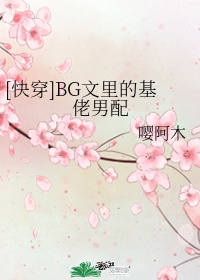 《bg文里的基佬男配》小说