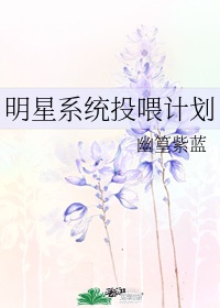 明星养成系统顶点