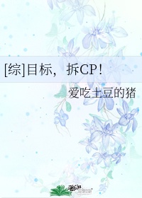 [综]目标,拆CP！