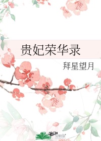 京华盛世大师级15价格