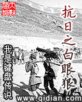 抗战之我是日本将军