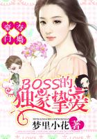 豪门婚宠boss太难缠小说