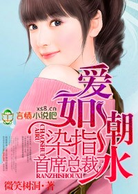 小说爱如潮水啊正版